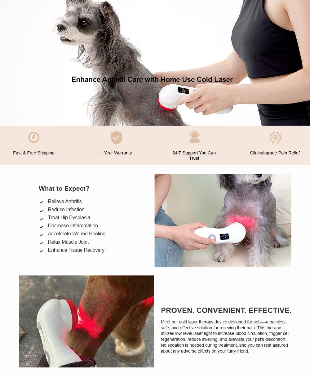 PowerCure Pro for animals